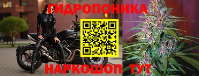 альфа пвп Пушкино