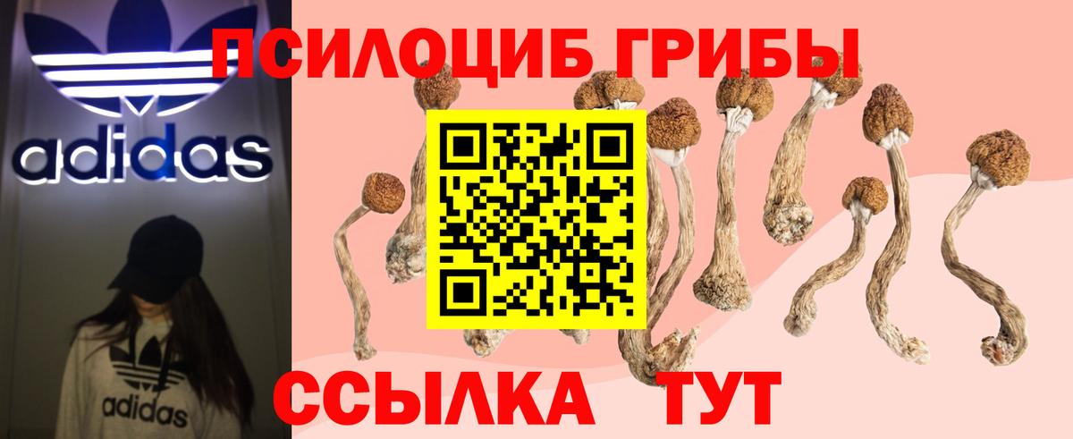 Псилоцибиновые грибы Psilocybe  Вход с VPN  Тобольск  Галлюциногенные грибы GOLDEN TEACHER 